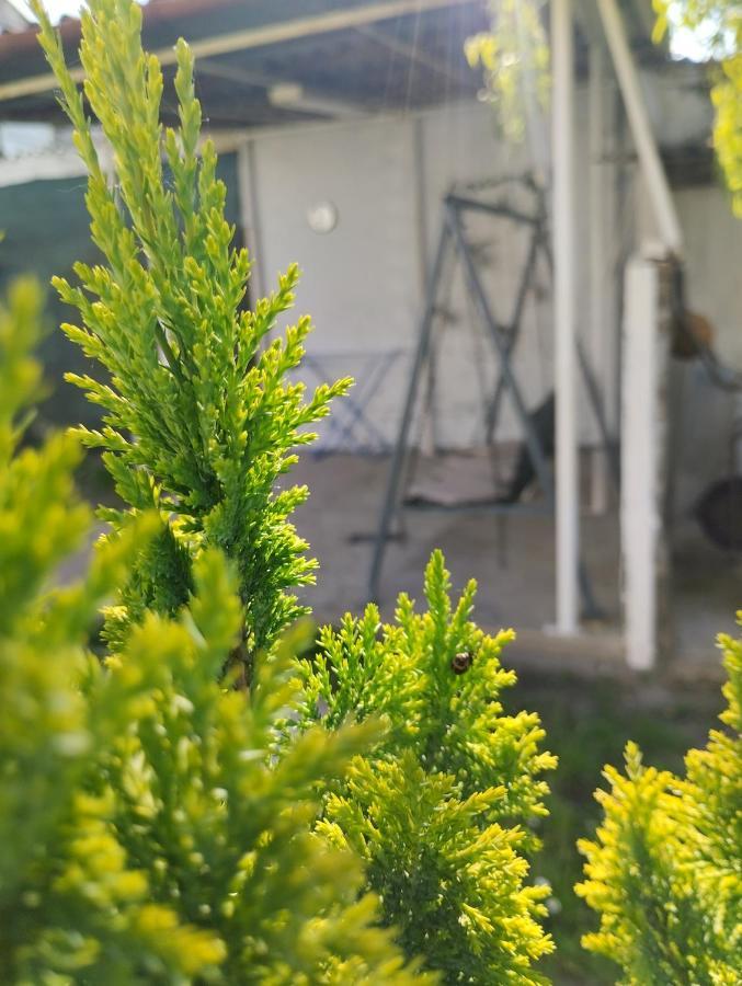אוסילק Marija Apartman מראה חיצוני תמונה