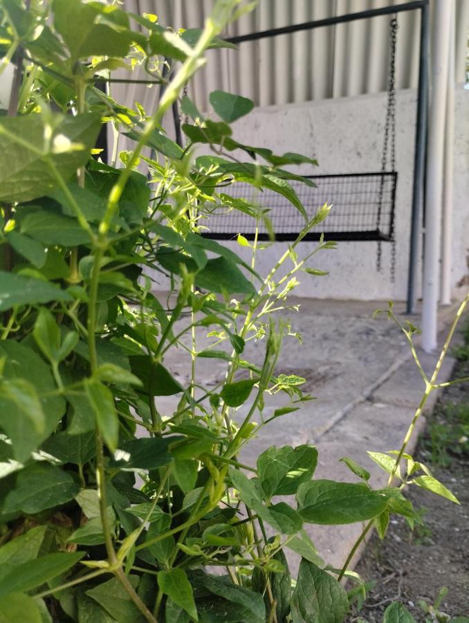 אוסילק Marija Apartman מראה חיצוני תמונה