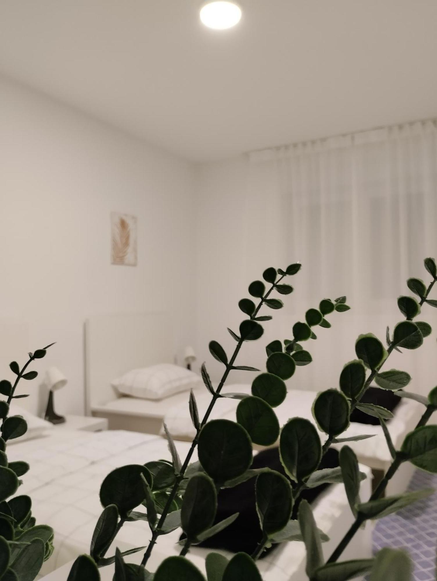 אוסילק Marija Apartman מראה חיצוני תמונה